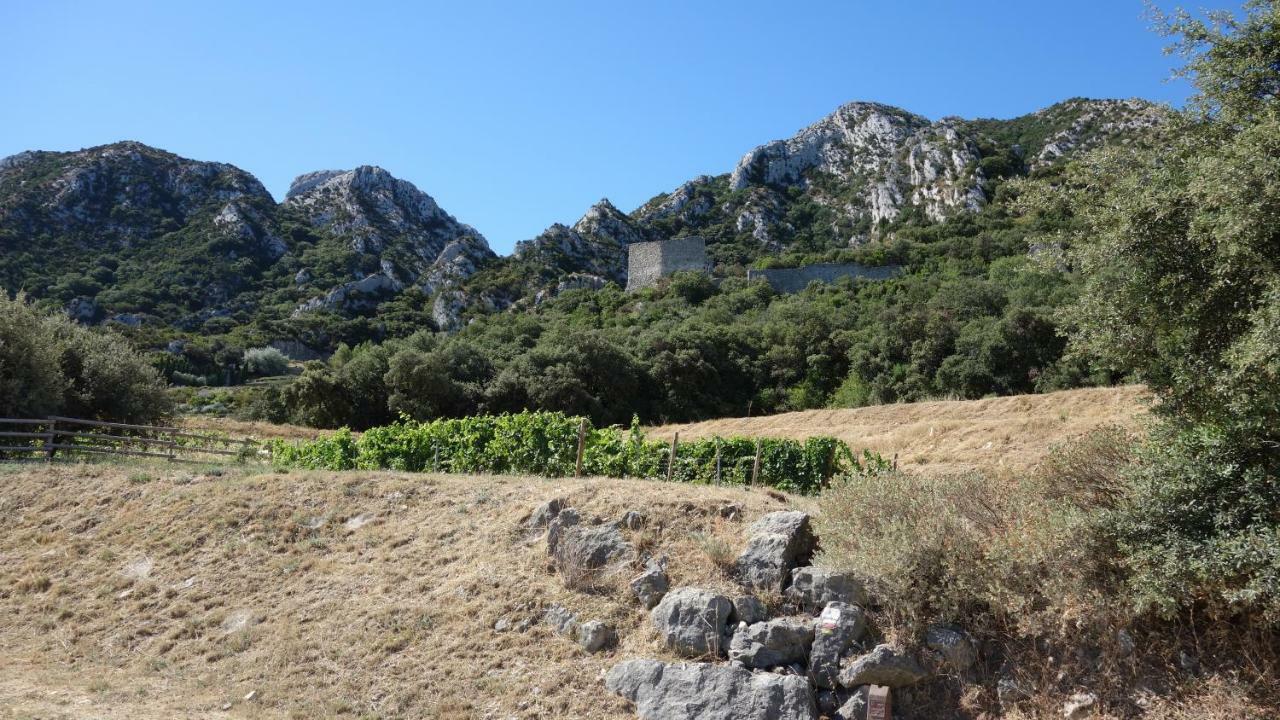 Les Lavandins-Gite Frederic Saint-Rémy-de-Provence Exterior photo