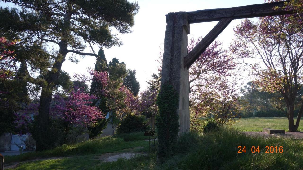 Les Lavandins-Gite Frederic Saint-Rémy-de-Provence Exterior photo